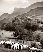 Schloß Katzenzungen (Tisens) (Positivo) di Foto Fuchs-Hauffen, Überlingen (1950/01/01 - 1969/12/31)