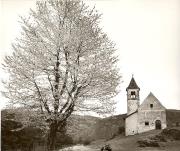 chiesa (Positivo) di Foto Fuchs-Hauffen, Überlingen (1950/01/01 - 1969/12/31)