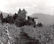 Schloß Wehrburg (Tisens) (Positivo) di Foto Tappeiner, Meran (1950/01/01 - 1969/12/31)