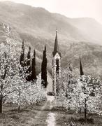 chiesa (Positivo) di Foto Fuchs-Hauffen, Überlingen (1950/01/01 - 1969/12/31)
