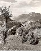 prato (Positivo) di Foto Fuchs-Hauffen, Überlingen (1950/01/01 - 1969/12/31)