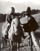 cavallo (Positivo) di Foto Tappeiner, Meran (1950/01/01 - 1969/12/31)
