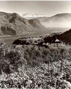 Panorama (Positivo) di Foto Fuchs-Hauffen, Überlingen (1950/01/01 - 1969/12/31)