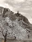 Schloß Maultasch (Terlan) (Positivo) di Foto Fuchs-Hauffen, Überlingen (1950/01/01 - 1969/12/31)