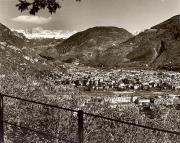 Motiv: Frühling (Positivo) di Foto Wenzel Fischer, Garmisch (1950/01/01 - 1969/12/31)