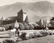 famiglia (Positivo) di Foto Fuchs-Hauffen, Überlingen (1950/01/01 - 1969/12/31)