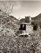 Schloß Ried (Ritten) (Positivo) di Foto Fuchs-Hauffen, Überlingen (1950/01/01 - 1969/12/31)