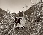 Schloß Ried (Ritten) (Positivo) di Foto Fuchs-Hauffen, Überlingen (1950/01/01 - 1969/12/31)