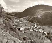 Panorama (Positivo) di Foto Fuchs-Hauffen, Überlingen (1950/01/01 - 1969/12/31)