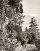 panca (Positivo) di Foto Fuchs-Hauffen, Überlingen (1950/01/01 - 1969/12/31)