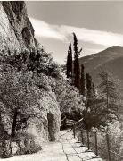 Promenade (Positivo) di Foto Fuchs-Hauffen, Überlingen (1950/01/01 - 1969/12/31)