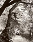 Wanderer/Ausflügler (Positivo) di Foto Fuchs-Hauffen, Überlingen (1950/01/01 - 1969/12/31)