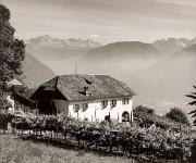 Panorama (Positivo) di Foto Fuchs-Hauffen, Überlingen (1950/01/01 - 1969/12/31)