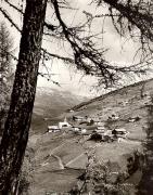 prato (Positivo) di Foto Fuchs-Hauffen, Überlingen (1950/01/01 - 1969/12/31)