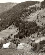 prato (Positivo) di Foto Fuchs-Hauffen, Überlingen (1950/01/01 - 1969/12/31)