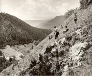 Bauer(in) / Landarbeiter(in) (Positivo) di Foto Fuchs-Hauffen, Überlingen (1950/01/01 - 1969/12/31)