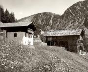 prato (Positivo) di Foto Fuchs-Hauffen, Überlingen (1950/01/01 - 1969/12/31)