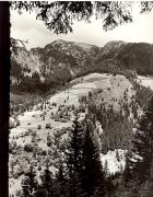 prato (Positivo) di Foto Fuchs-Hauffen, Überlingen (1950/01/01 - 1969/12/31)