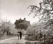 Schloß Sigmundskron (Bozen) (Positivo) di Foto Fuchs-Hauffen, Überlingen (1950/01/01 - 1969/12/31)