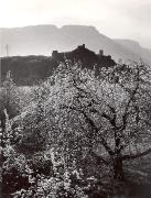 Schloß Sigmundskron (Bozen) (Positivo) di Foto Wenzel Fischer, Garmisch (1950/01/01 - 1969/12/31)