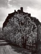 Schloß Sigmundskron (Bozen) (Positivo) di Foto Wenzel Fischer, Garmisch (1950/01/01 - 1969/12/31)