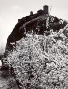 Schloß Sigmundskron (Bozen) (Positivo) di Foto Wenzel Fischer, Garmisch (1950/01/01 - 1969/12/31)