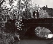 Schloß Sigmundskron (Bozen) (Positivo) di Foto Wenzel Fischer, Garmisch (1950/01/01 - 1969/12/31)