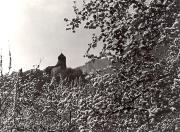 Obstbaum (Positivo) (1950/01/01 - 1969/12/31)