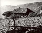 Bauernhof Etschtal (Positivo) di Foto Tappeiner, Meran (1950/01/01 - 1969/12/31)