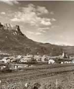 vigneto (Positivo) di Foto Fuchs-Hauffen, Überlingen (1950/01/01 - 1969/12/31)