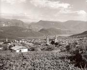 vigneto (Positivo) di Foto Fuchs-Hauffen, Überlingen (1950/01/01 - 1969/12/31)
