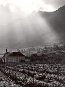 vigneto (Positivo) di Foto Fuchs-Hauffen, Überlingen (1950/01/01 - 1969/12/31)