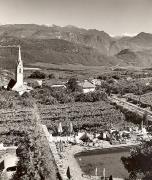 vigneto (Positivo) di Foto Fuchs-Hauffen, Überlingen (1950/01/01 - 1969/12/31)