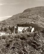 prato (Positivo) di Foto Fuchs-Hauffen, Überlingen (1950/01/01 - 1969/12/31)