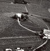 Weinhof bei Neumarkt (Positivo) di Foto Tappeiner, Meran (1950/01/01 - 1969/12/31)