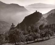 Obstbaum (Positivo) di Foto Fuchs-Hauffen, Überlingen (1950/01/01 - 1969/12/31)