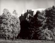 bosco (Positivo) di Foto Tappeiner, Meran (1950/01/01 - 1969/12/31)