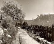 recinto (Positivo) di Foto Fuchs-Hauffen, Überlingen (1950/01/01 - 1969/12/31)