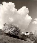 prato (Positivo) di Foto Fuchs-Hauffen, Überlingen (1950/01/01 - 1969/12/31)