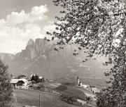 prato (Positivo) di Foto Fuchs-Hauffen, Überlingen (1950/01/01 - 1969/12/31)