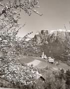 prato (Positivo) di Foto Fuchs-Hauffen, Überlingen (1950/01/01 - 1969/12/31)