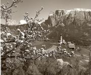 prato (Positivo) di Foto Fuchs-Hauffen, Überlingen (1950/01/01 - 1969/12/31)