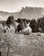 prato (Positivo) di Foto Fuchs-Hauffen, Überlingen (1950/01/01 - 1969/12/31)