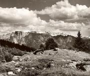 Panorama (Positivo) di Foto Fuchs-Hauffen, Überlingen (1950/01/01 - 1969/12/31)