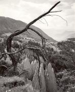 piramidi di terra (Positivo) di Foto Tappeiner, Meran (1950/01/01 - 1969/12/31)