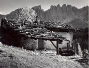 Fichtenwald (Positivo) di Foto Wenzel Fischer, Garmisch (1950/01/01 - 1969/12/31)