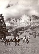 cavaliere (Positivo) di Foto Hermann Frass, Bozen (1950/01/01 - 1969/12/31)