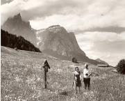 Motiv: Sommer (Positivo) di Foto Fuchs-Hauffen, Überlingen (1950/01/01 - 1969/12/31)