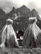 Getreideernte: Trocknen (Positivo) di Foto Wenzel Fischer, Garmisch (1950/01/01 - 1969/12/31)