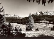 Panorama (Positivo) di Foto Fuchs-Hauffen, Überlingen (1950/01/01 - 1969/12/31)